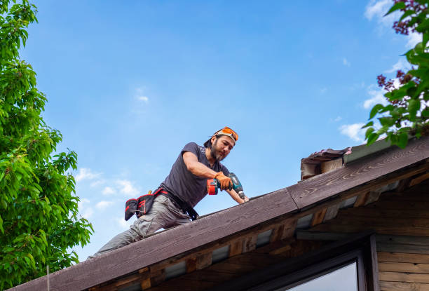 Best Roof Ventilation Installation  in Shoh, IL