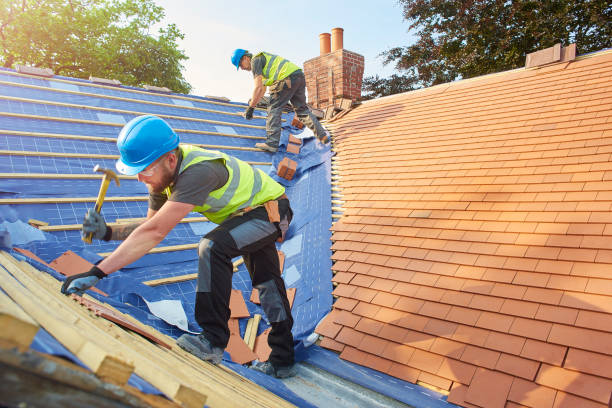 Best Skylight Installation and Repair  in Shoh, IL